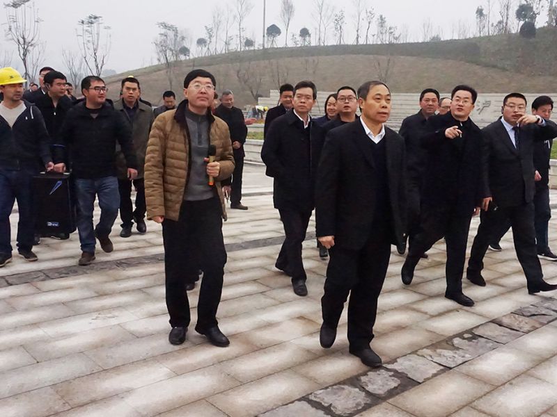 BB贝博艾弗森园林绿化维护