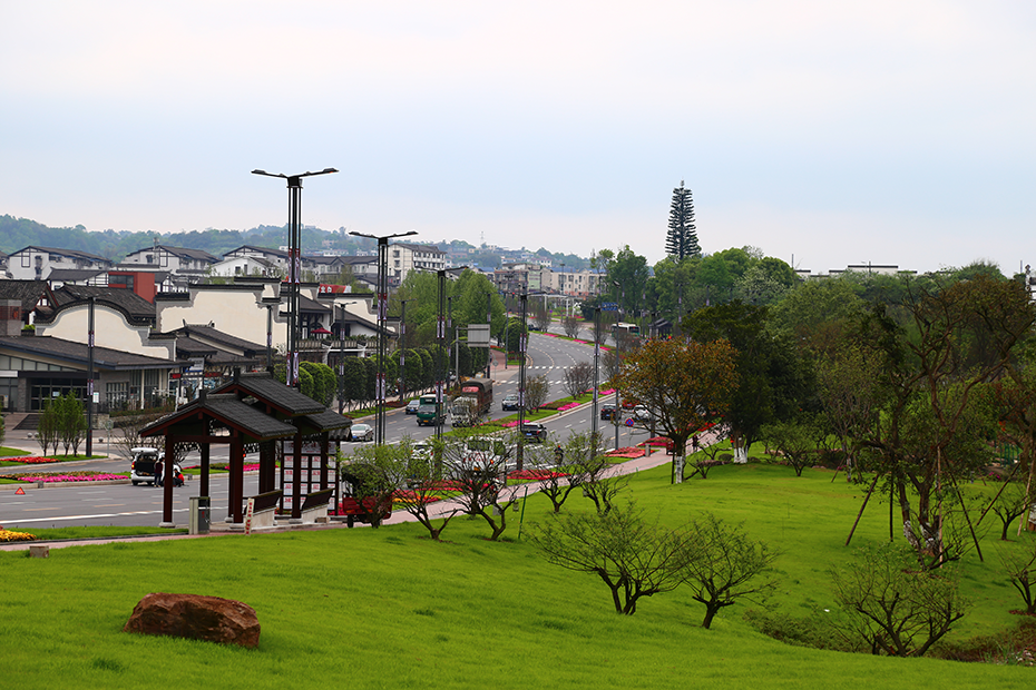 BB贝博艾弗森园林绿化维护