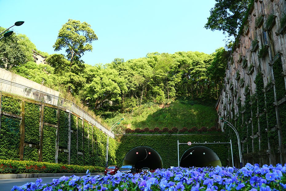 BB贝博艾弗森园林绿化维护